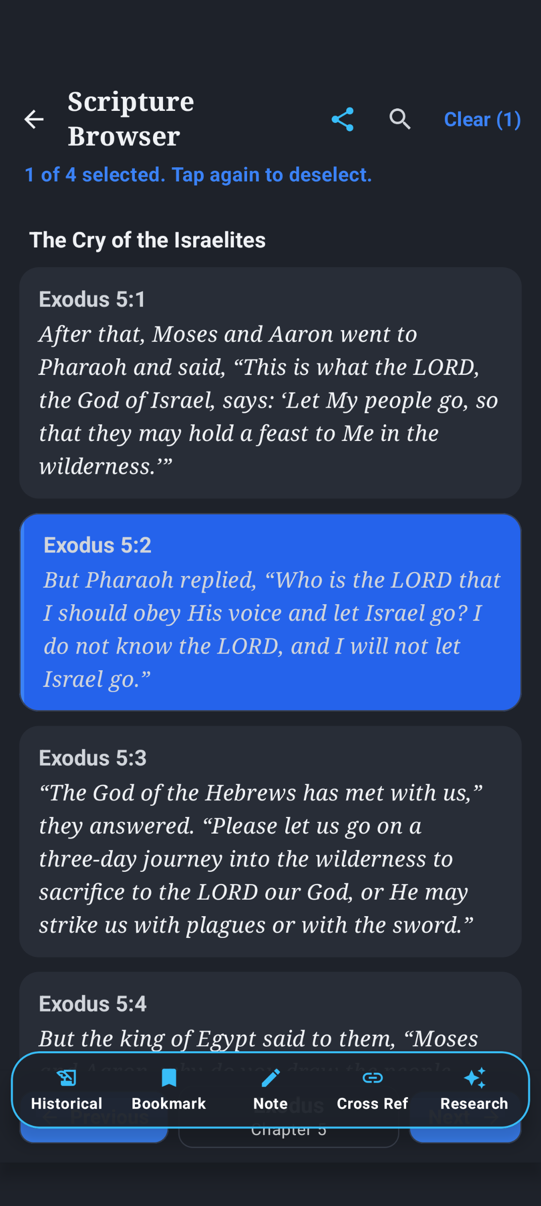 Biblical Insights Scripture Browser with a selected verse and research actions